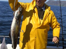 Norwegen 2008 Rundereim